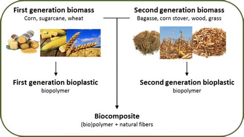  Lignin - Ein vielseitiger Rohstoff für die Herstellung von Biokunststoffen und othernings